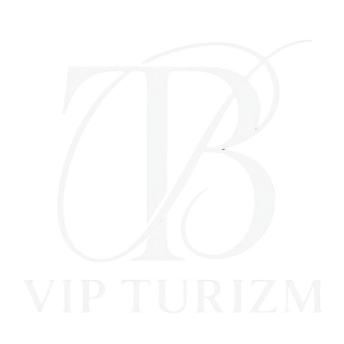 BT VIP TURİZM Logo